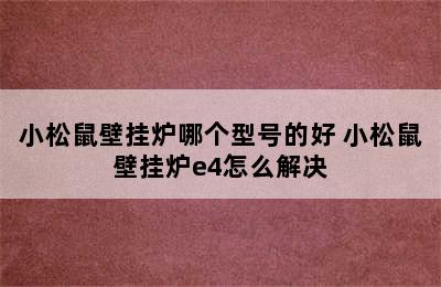 小松鼠壁挂炉哪个型号的好 小松鼠壁挂炉e4怎么解决